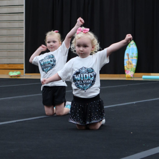 WIDC Rec Cheer